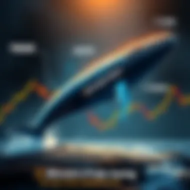 Bitcoin price chart showing a sharp increase from 68000 to 71000, with a whale symbolizing a large investor facing liquidation.