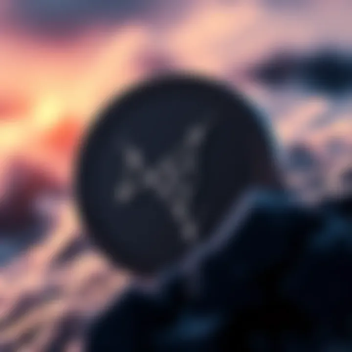 BlackRock symbol overlaid on an illustration of Cardano's programmable tokens