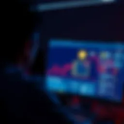 A person looking at a computer screen displaying a simple cryptocurrency wallet interface