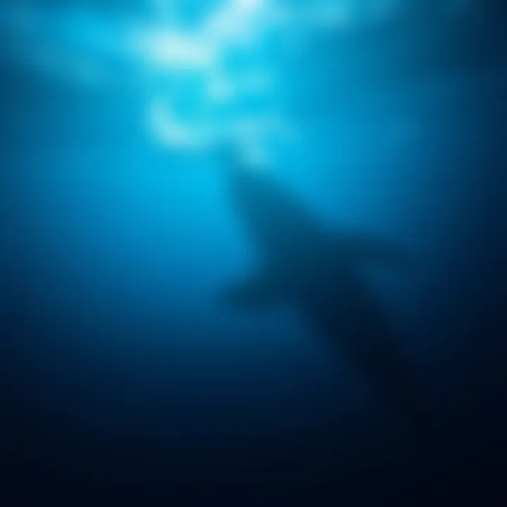 A deep blue sea with a massive whale silhouette swimming beneath the surface, symbolizing the unseen influence of large investors in the cryptocurrency market.