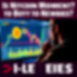 A person looking at a Bitcoin chart on a computer screen, contemplating an investment decision.