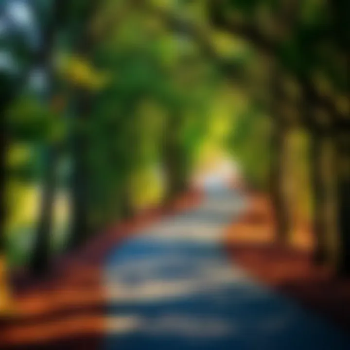 Nostalgic Memory Lane A winding path surrounded by trees, evoking a sense of nostalgia and reflection on past memories.