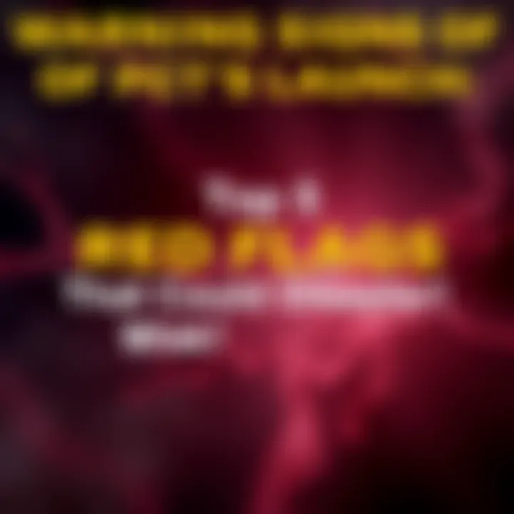 Visual representation of the top red flags from PCT's launch highlighting potential investor risks.