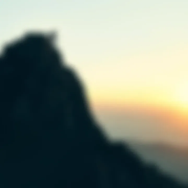 A person reaching for the top of a mountain, symbolizing the pursuit of achievement and fulfillment.