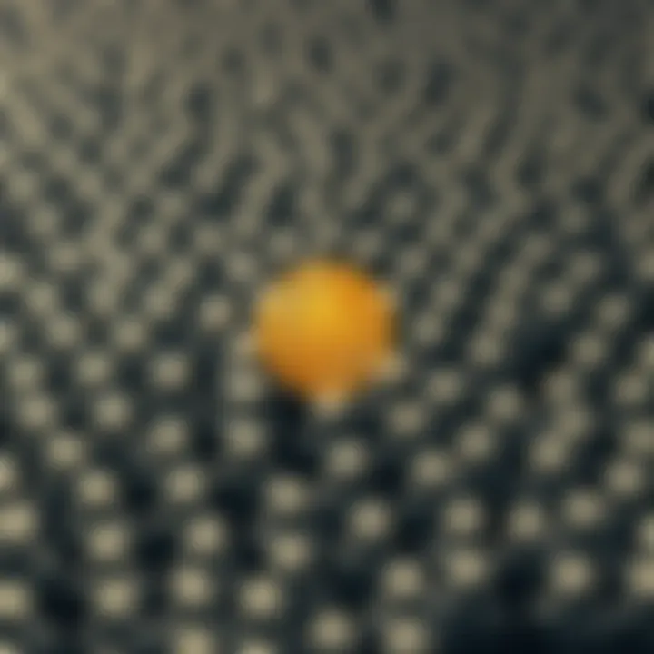 A graphic showing a small gold Bitcoin in the center, surrounded by a large crowd of gray figures representing the majority of people. The Bitcoin stands out prominently to illustrate its rarity.