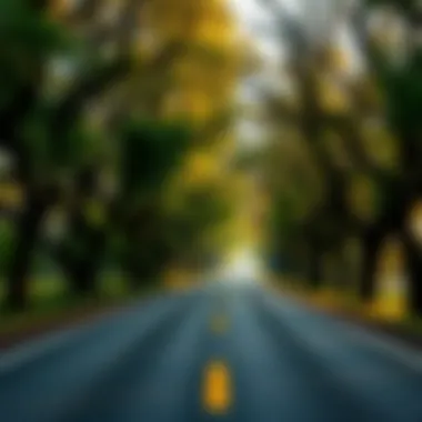 A peaceful road lined with trees, symbolizing the journey ahead, encouraging mindfulness and appreciation of the process.