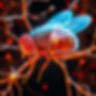 Simulated Fruit Fly Brain for Bitcoin Mining A visual representation of a simulated fruit fly brain used for Bitcoin mining, showcasing organic neurons in action, with elements of digital technology.