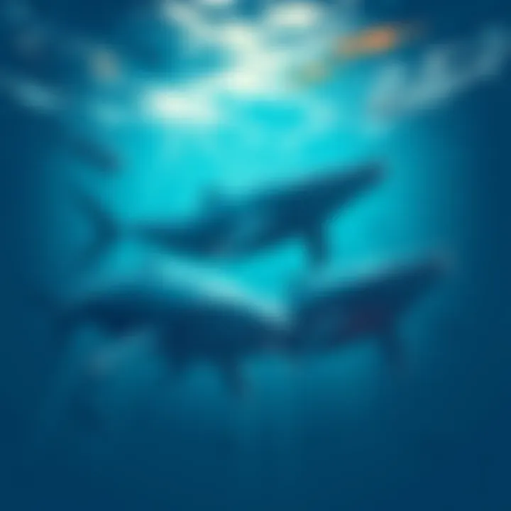 Whales in the Market Illustration of large whales swimming in a financial ocean, symbolizing major investors and market movers.